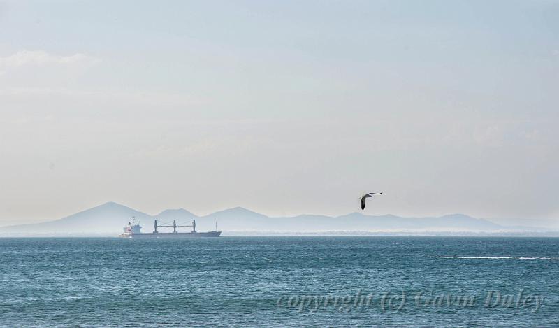 View across Port Phillip Bay from Portarlington IMGP4402.jpg